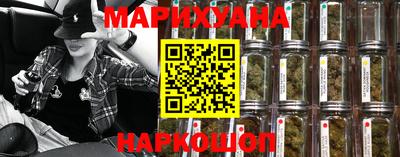 шишки Будённовск