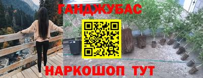 шишки Будённовск