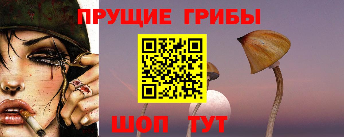Мариинск  Псилоцибиновые грибы Psilocybine cubensis  Вход с VPN 
